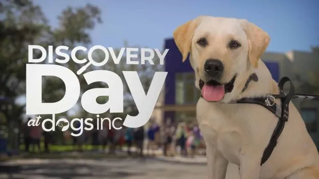 Discover Firsthand How Dogs Inc Changes Lives