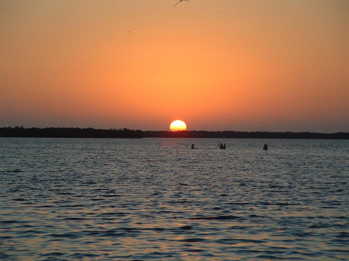 Cockroach Bay: The story behind one of Florida’s most unusual names