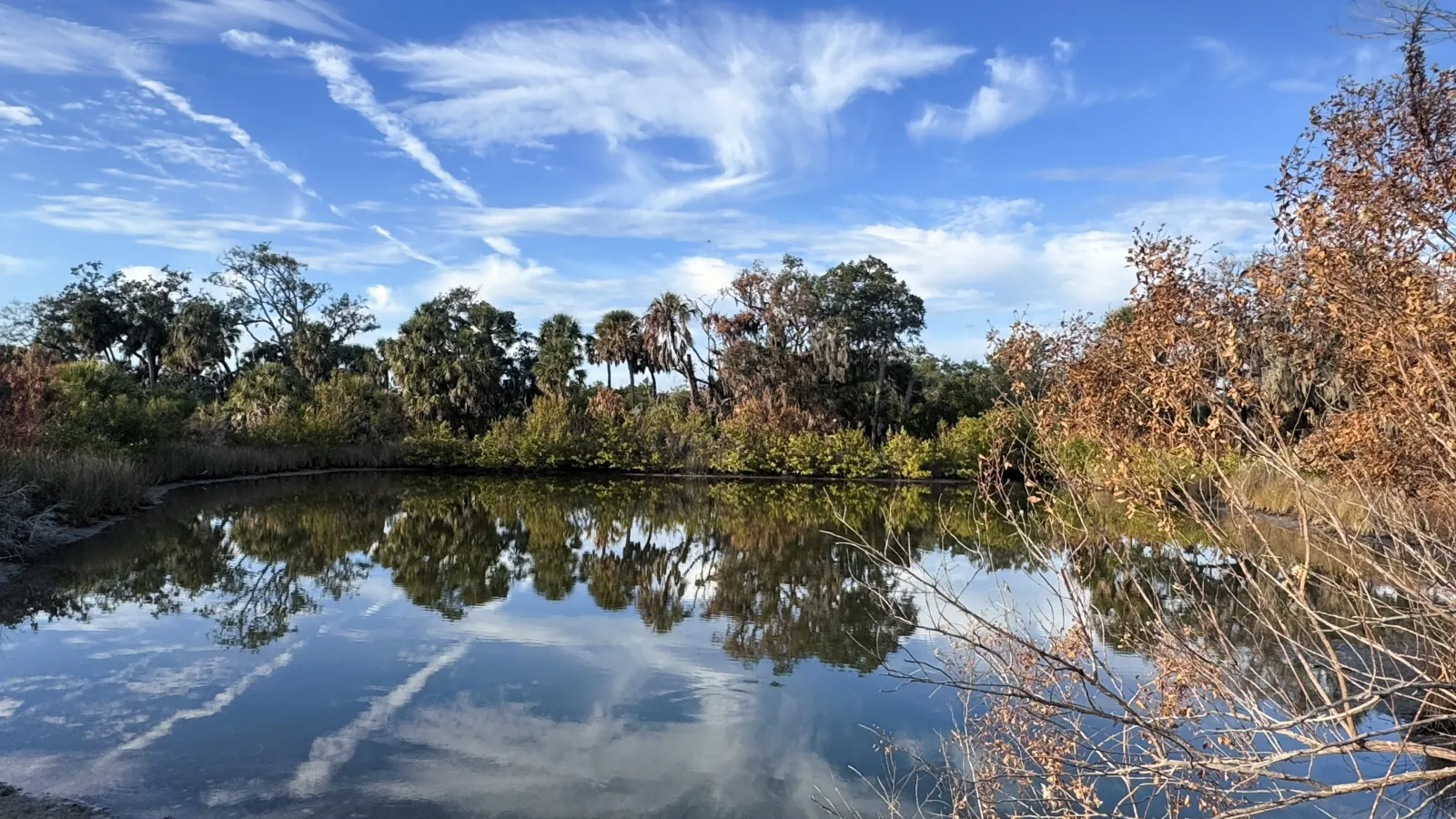 Preserve Reflections