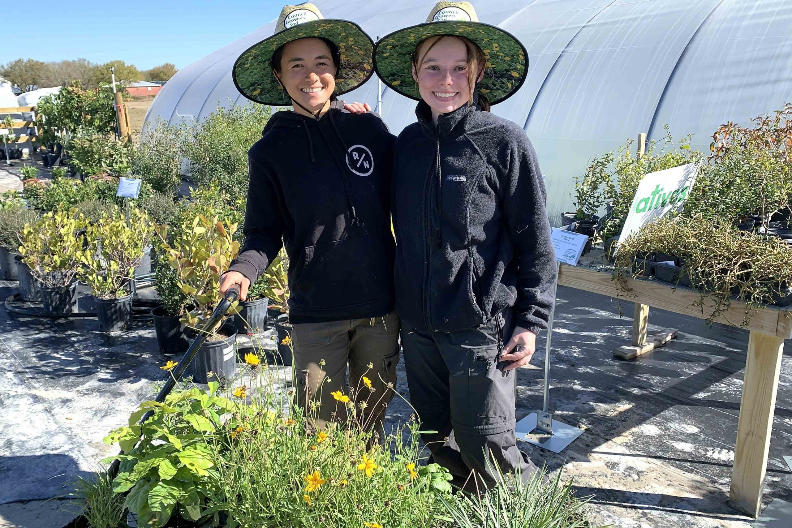 Native plants, local roots: Councils open plant nursery in Ruskin