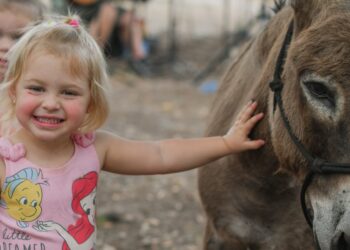 4th annual All About Horses event is April 11