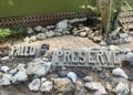 Don’t let this local treasure go extinct