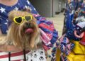Historic 4th of July Parade gets new location and festival ties