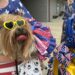 Historic 4th of July Parade gets new location and festival ties