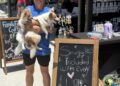 Howling Hounds, a safe haven for dogs needing permanent homes