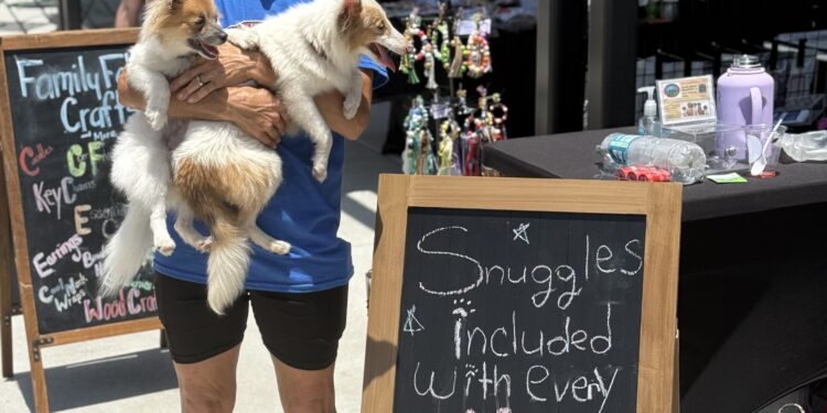 Howling Hounds, a safe haven for dogs needing permanent homes