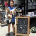 Howling Hounds, a safe haven for dogs needing permanent homes
